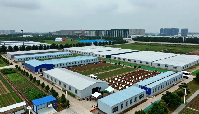 网站建设后运营支持的常见问题与应对策略